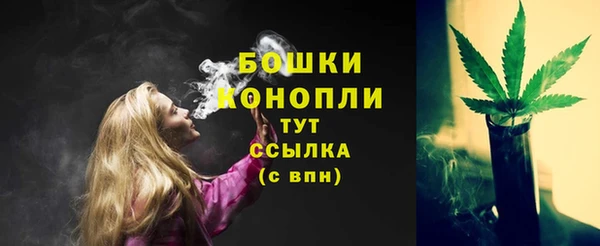 ГАЛЛЮЦИНОГЕННЫЕ ГРИБЫ Богородицк