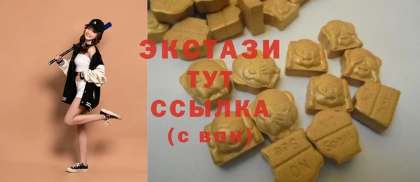 крисы Богородск