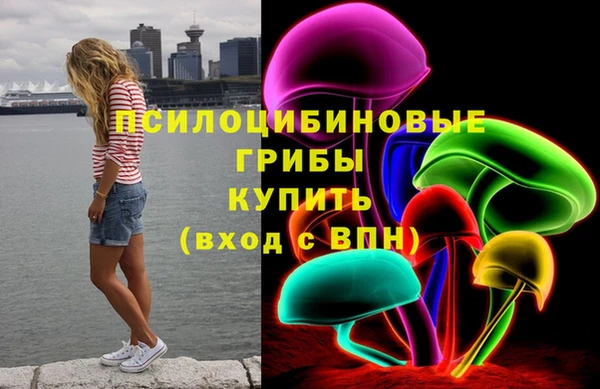 ГАЛЛЮЦИНОГЕННЫЕ ГРИБЫ Богородицк