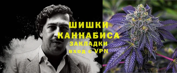ГАЛЛЮЦИНОГЕННЫЕ ГРИБЫ Богородицк