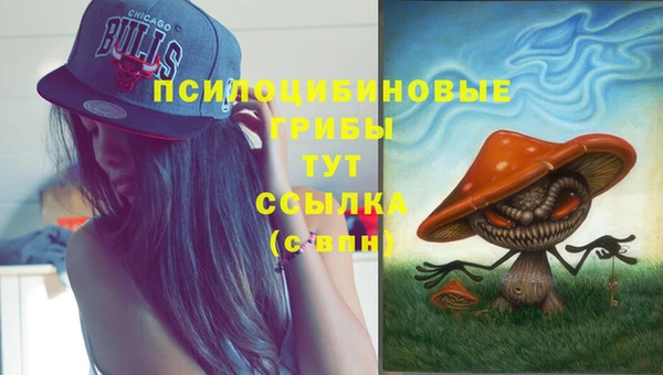 крисы Богородск