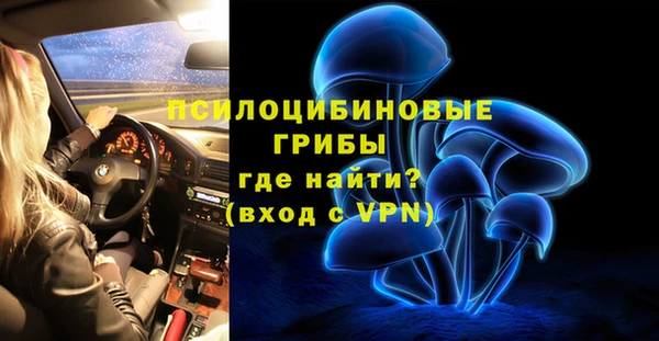 ГАЛЛЮЦИНОГЕННЫЕ ГРИБЫ Богородицк