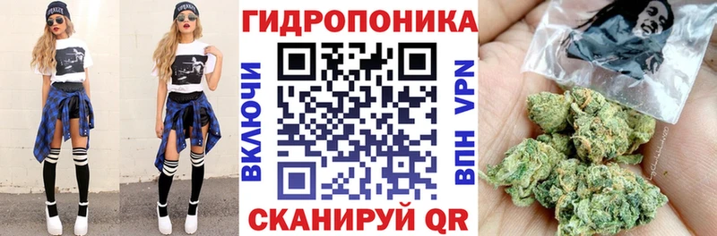 Шишки марихуана MAZAR  даркнет сайт  Кохма 